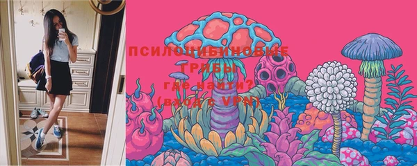 прущая мука Лабытнанги