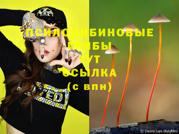 дмт Няндома