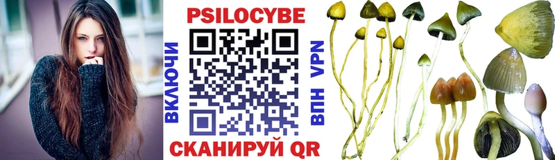 blacksprut рабочий сайт  Чудово  Галлюциногенные грибы Psilocybe 